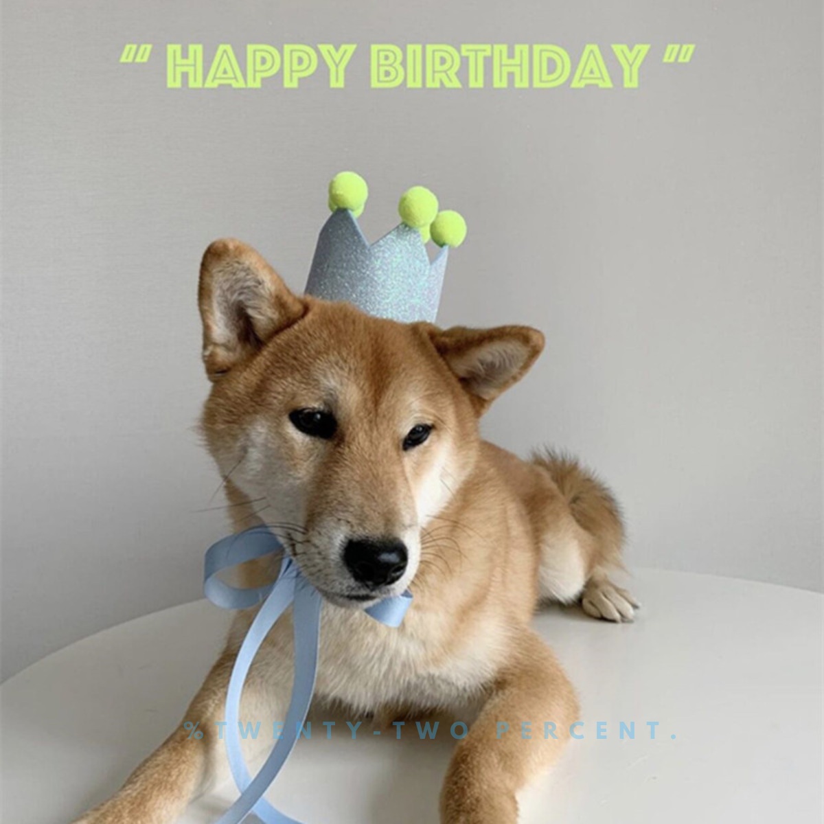 Birthday Party Pompom Crown